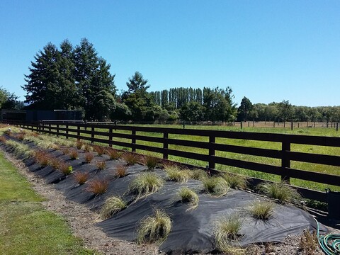 Fences and Gates